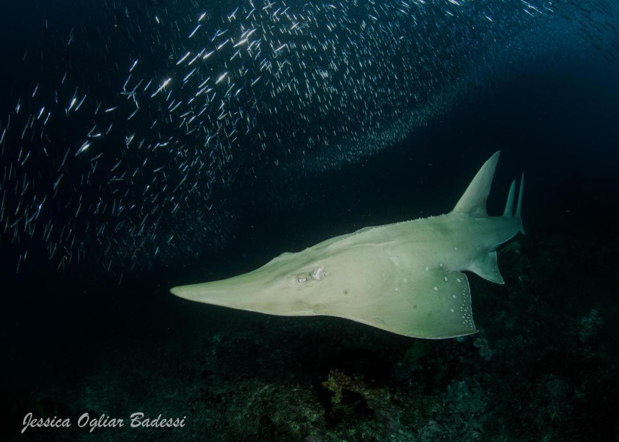 Faima Fishing Lodge At Daravandhoo Dharavandhoo Exteriör bild